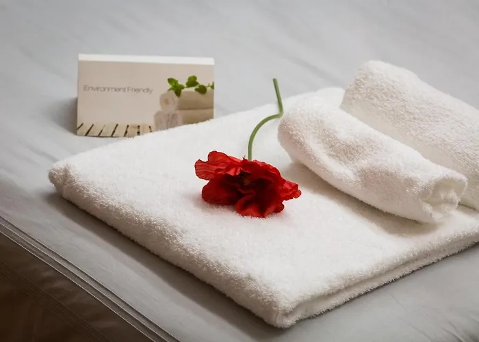 Filomena Arthouse Couette-café Rome