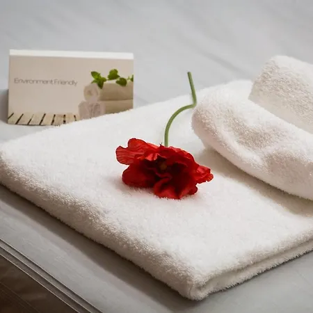 Filomena Arthouse Bed & Breakfast Rome